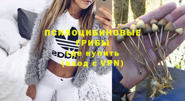 Альфа ПВП Алексин