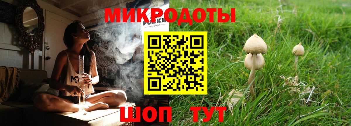 Псилоцибиновые грибы Cubensis Нововоронеж