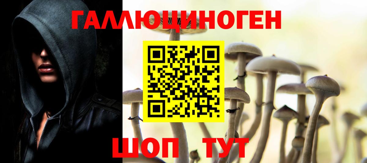 Псилоцибиновые грибы MAGIC MUSHROOMS  Псилоцибиновые грибы GOLDEN TEACHER  Вход с VPN  Нововоронеж 